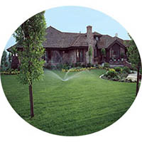 Victoria grass sprinkler systems